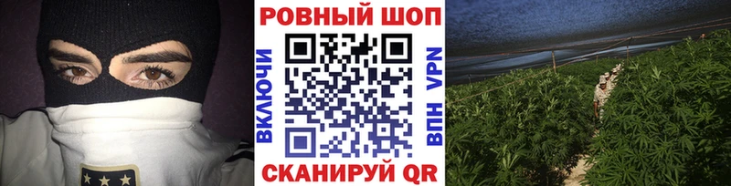 Где продают наркотики Свирск Кодеин  COCAIN  Мефедрон  кракен как зайти  Псилоцибиновые грибы  МАРИХУАНА  ГАШИШ  СК 
