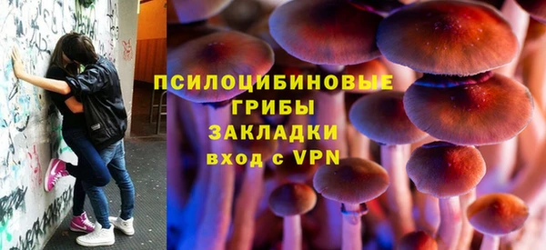 не бодяженный Аркадак