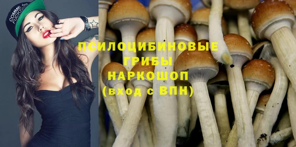 не бодяженный Аркадак